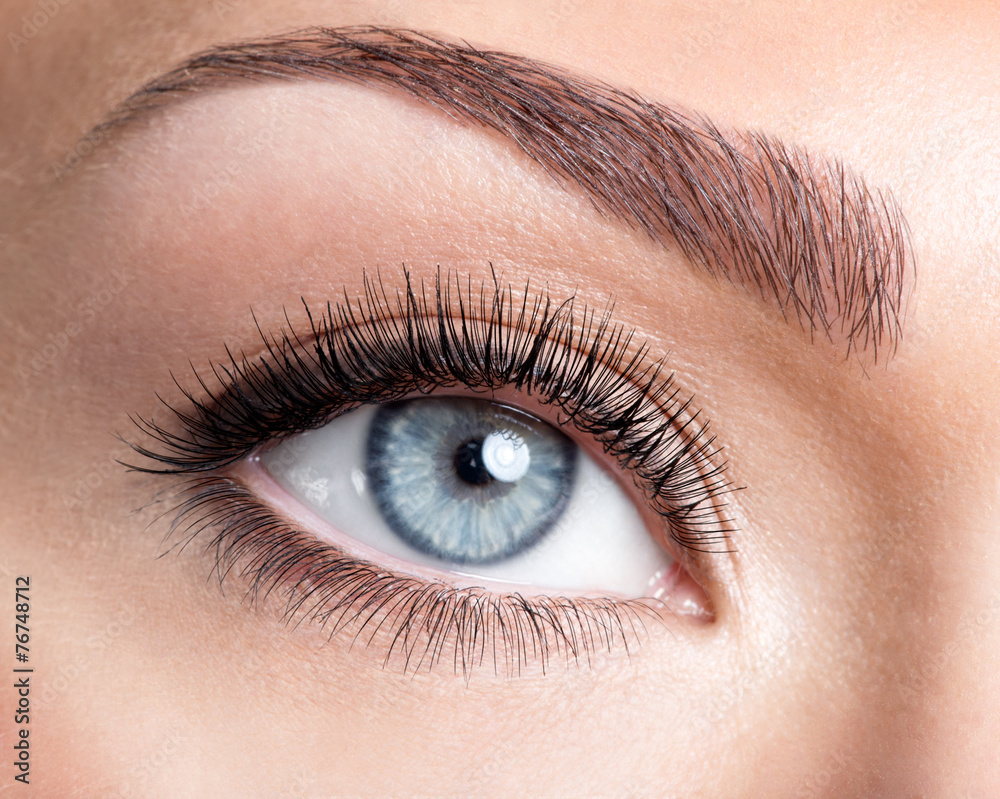 Naklejka premium Beauty female eye with curl long false eyelashes