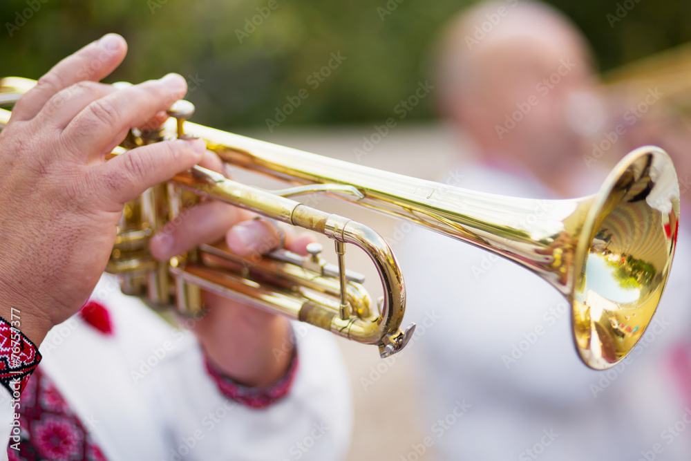 Obraz premium music, trumpet, Musical Instrument, brass instrument, playng, Mu