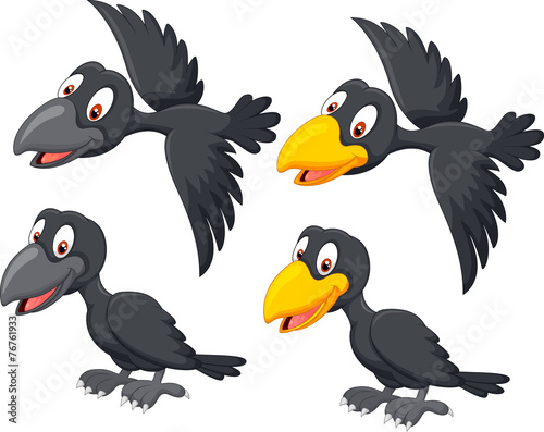 Cute cartoon raven