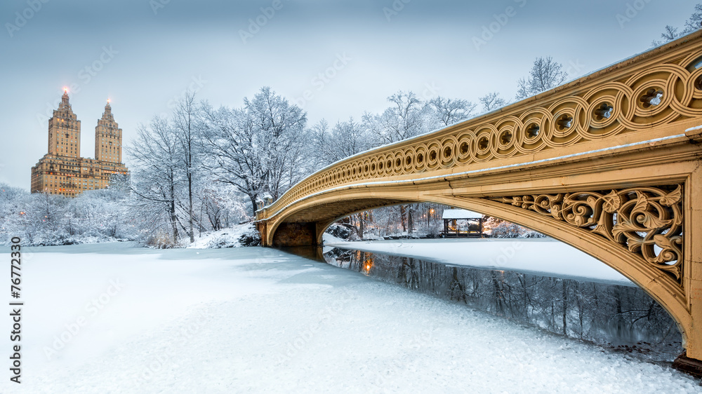 Naklejka premium Bow Bridge w Central Parku w Nowym Jorku