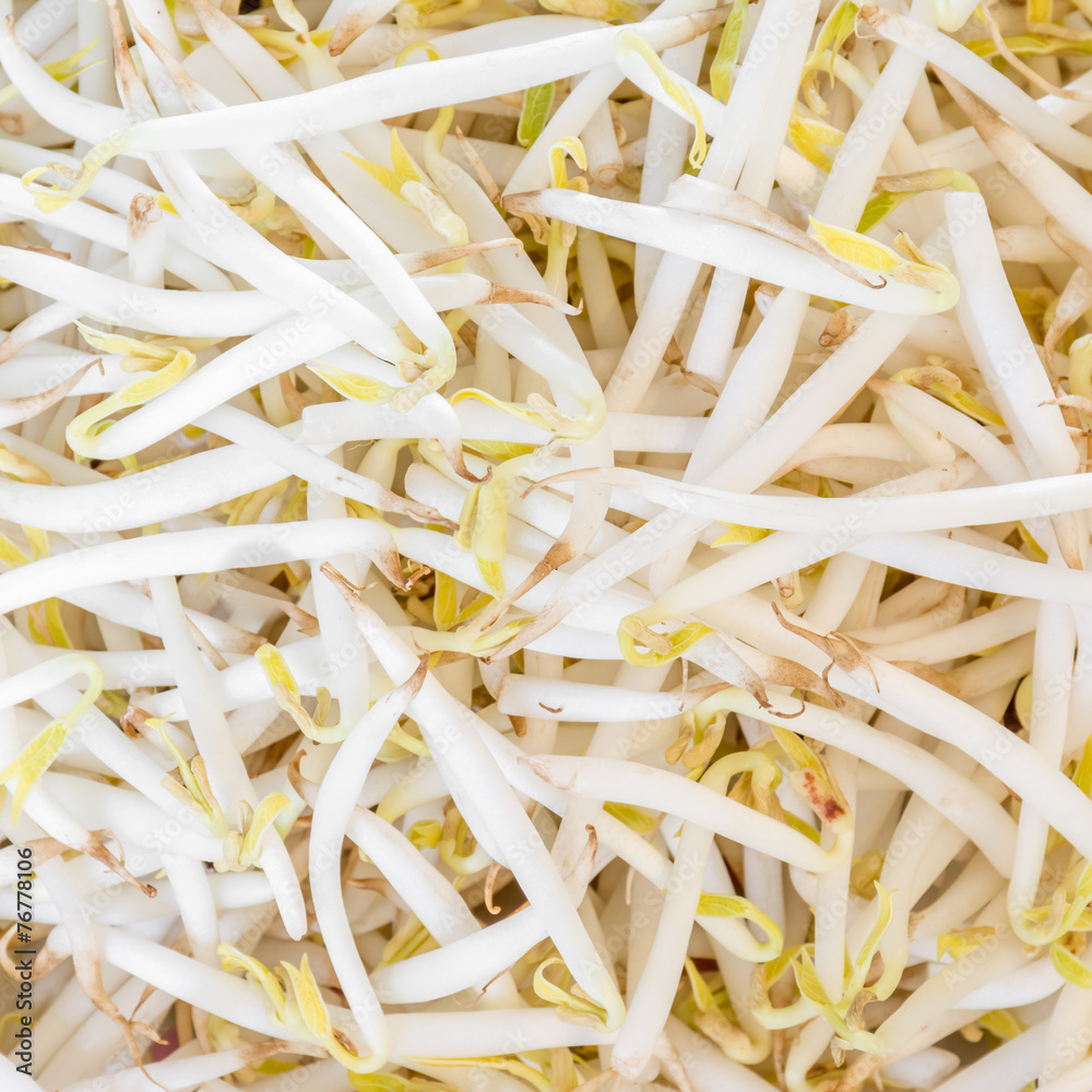 Bean sprouts texture background.