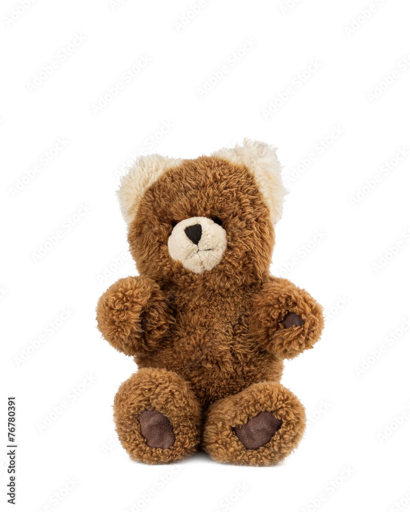 Obraz premium One teddy bear sitting, on white background.