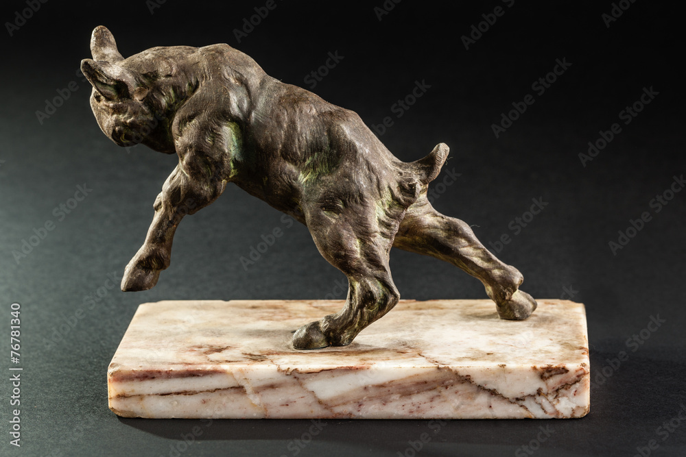 Fototapeta premium Bull bookends