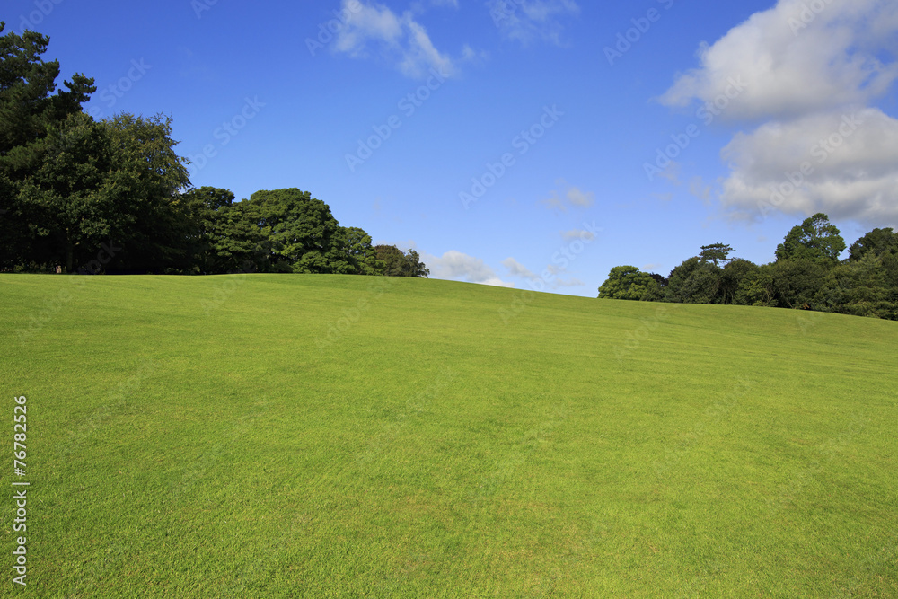 Beautiful green lawn in summer park.