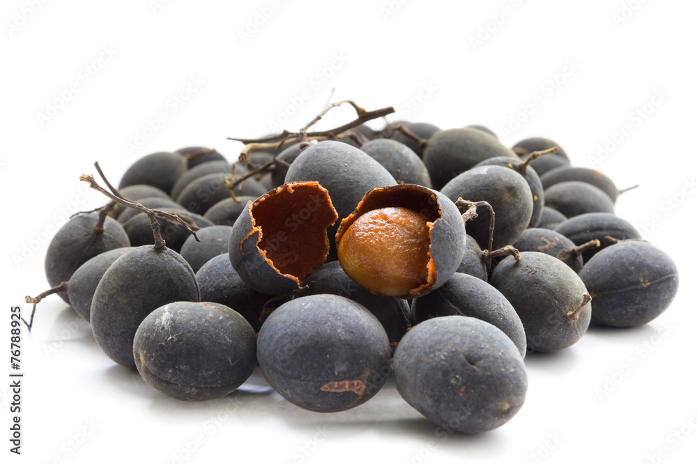Velvet tamarind, Dialium cochinchinense Velvet tamarind, Dialium cochinchinense