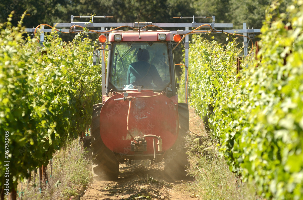 Naklejka premium Wine Spray