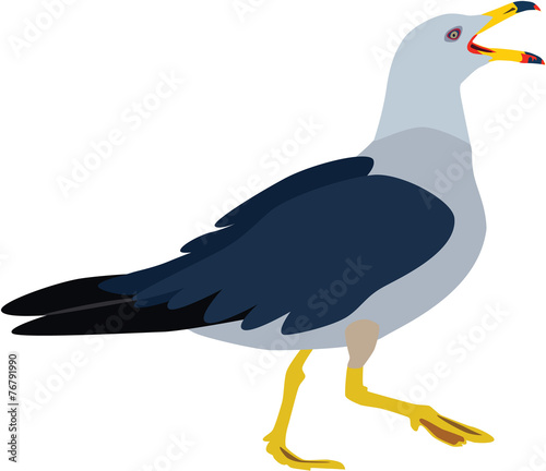 cute seagull vector
