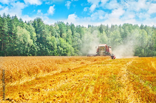 view on work of combine harvester wheat field in forest insta