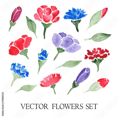 vector set of watercolor flowers photo
