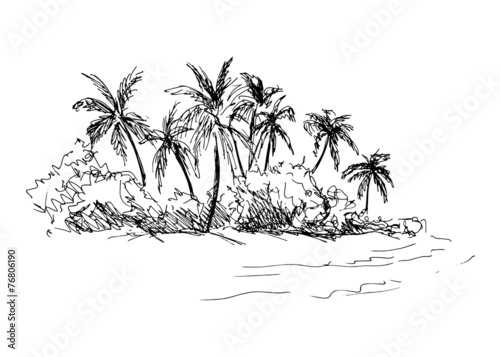 hand sketch coast with palm trees