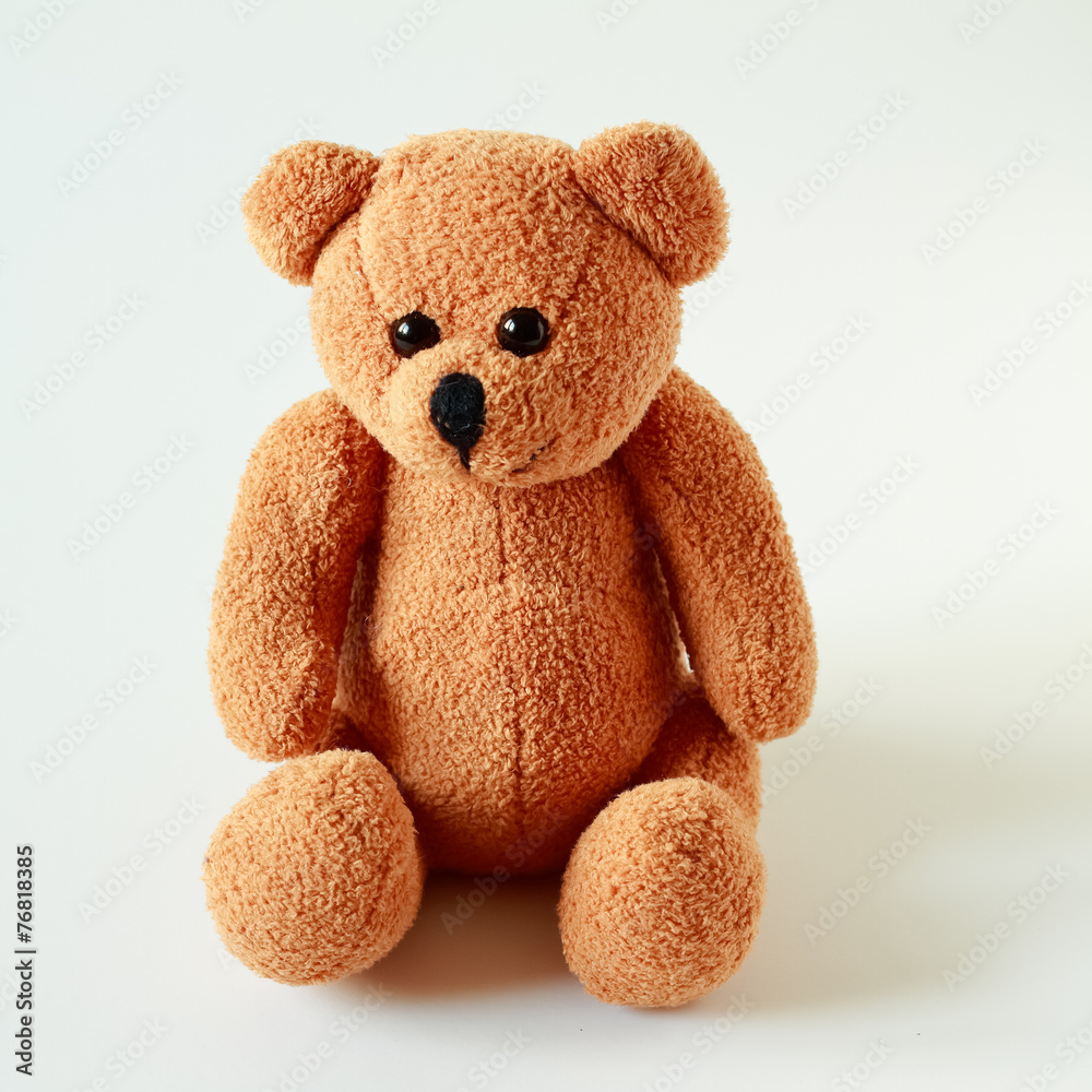 Obraz premium Old patched brown teddy bear