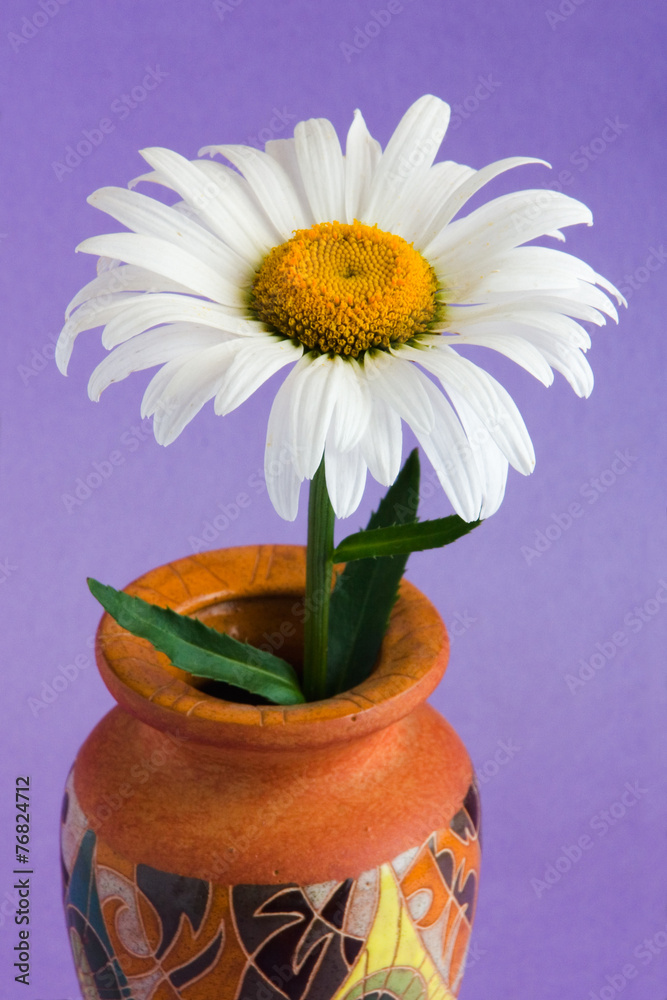 custom made wallpaper toronto digitaldaisy