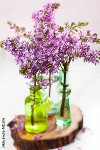 violet lilac