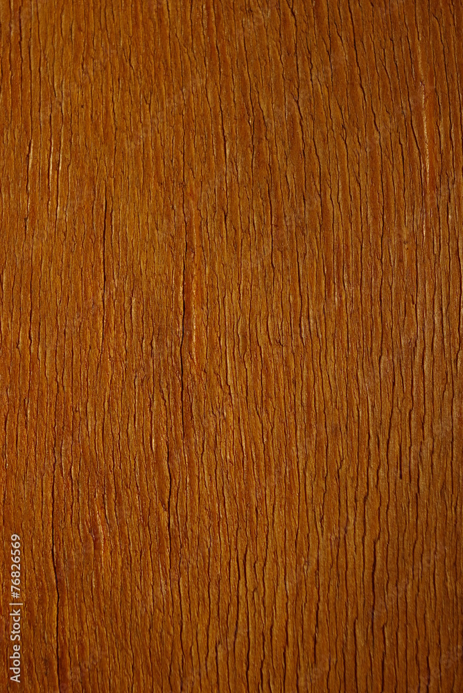 Obraz premium Wood texture