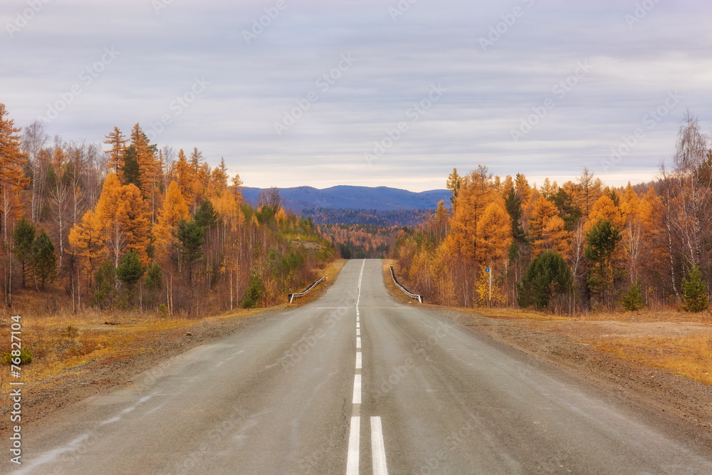 Autumn road