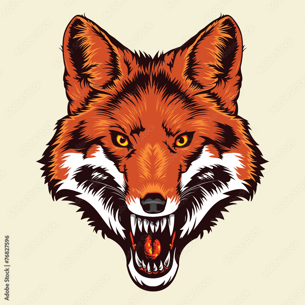 Fototapeta premium angry fox head