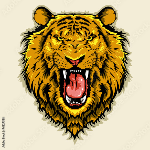 angry lion head