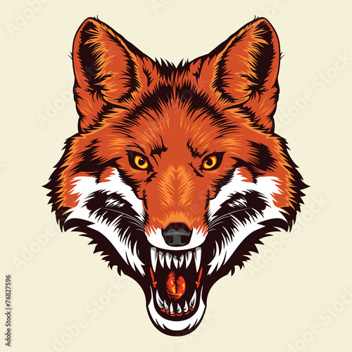 angry fox head