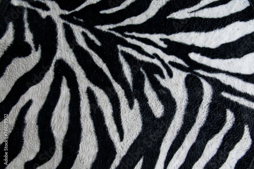 texture of print fabric stripes zebra for background