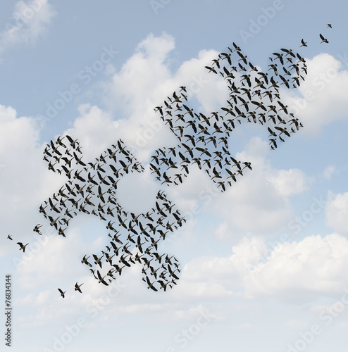 Flying Birds Puzzle