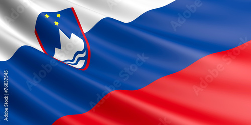 Obraz na plátně Slovenia flag.