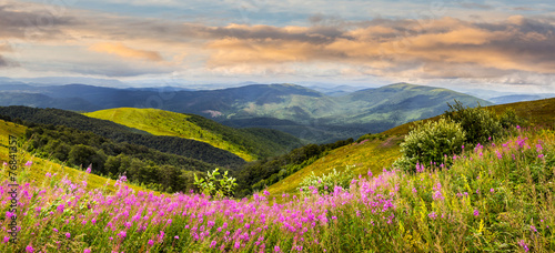 Fototapeta Naklejka Na Ścianę i Meble -  wild flowers on the mountain top at sunrise