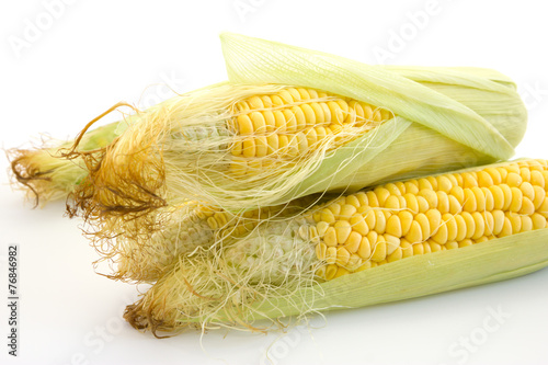 Fresh corn isolated on white background