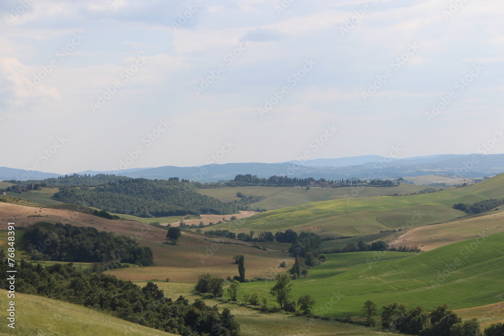 Fototapeta premium Tuscan Countryside
