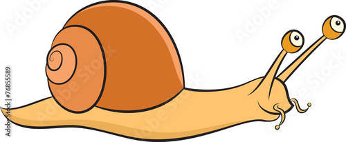 Snail
