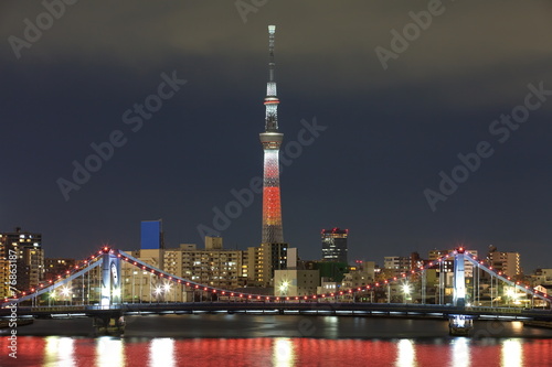 Tokyo city view and Tokyo sky tree with red christmas light up
