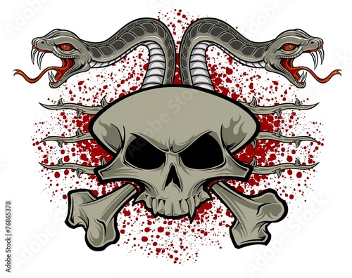 skull and snakes