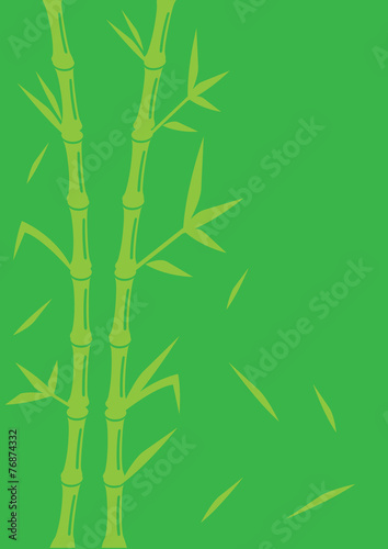 Fototapeta Naklejka Na Ścianę i Meble -  Green Bamboo Vector Background