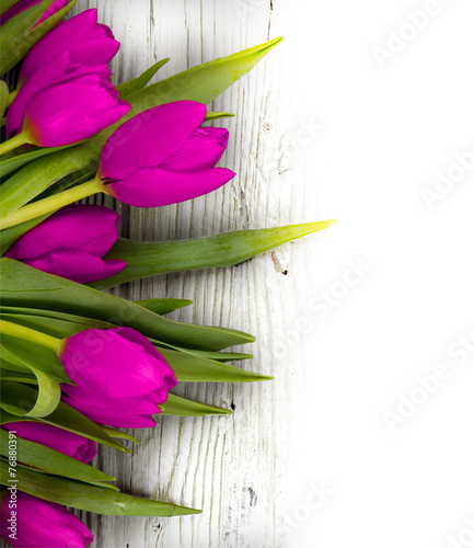 Fototapeta Naklejka Na Ścianę i Meble -  Tulip blooms
