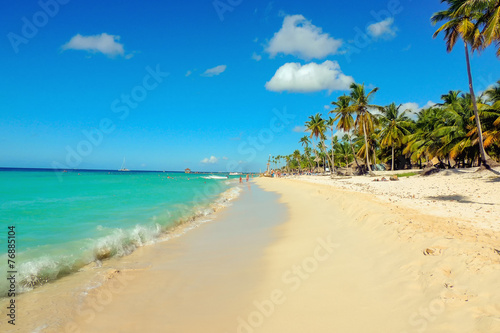 Exotic caribbean sandy beach with tall palm trees