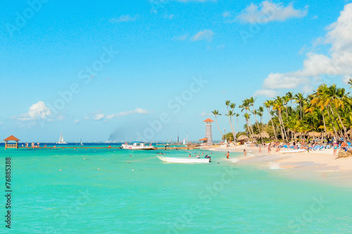Exotic caribbean beach with tall palm trees