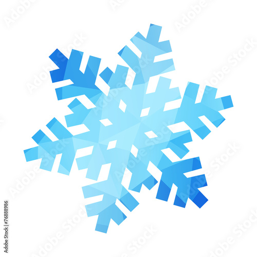 Vector desing isolated snowflake