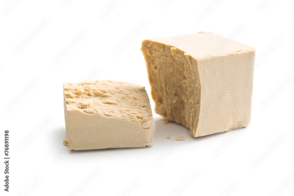 fresh yeast fresh yeast