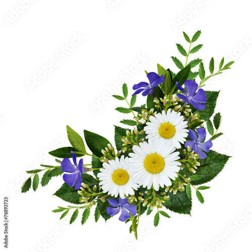 Fototapeta Naklejka Na Ścianę i Meble -  Wild flowers bouquet