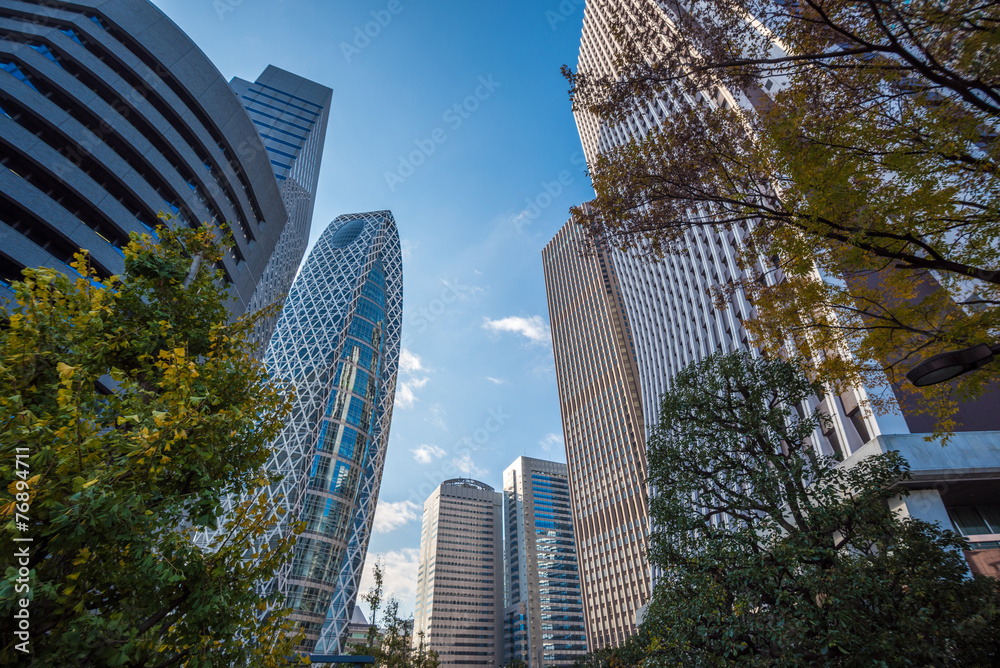 Obraz premium Skyscrapers of Shinjuku, Tokyo, Japan