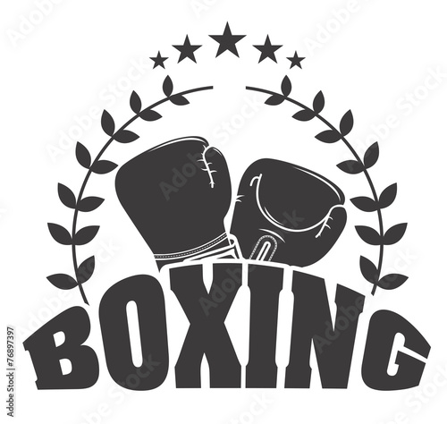 boxing sport