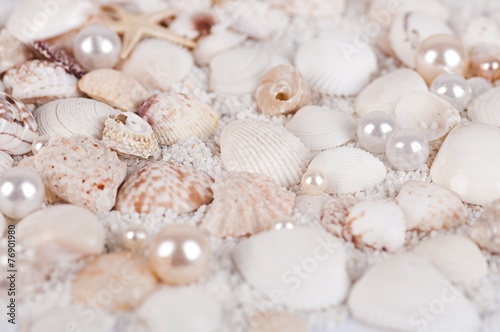 background of sea shells and pearls