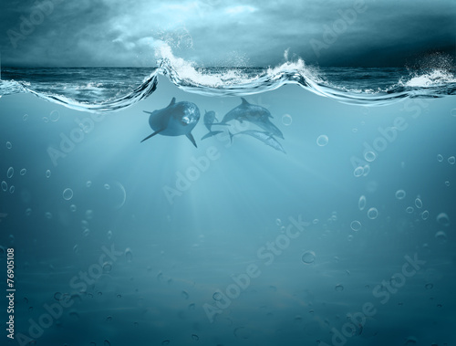 Water element in dolphin