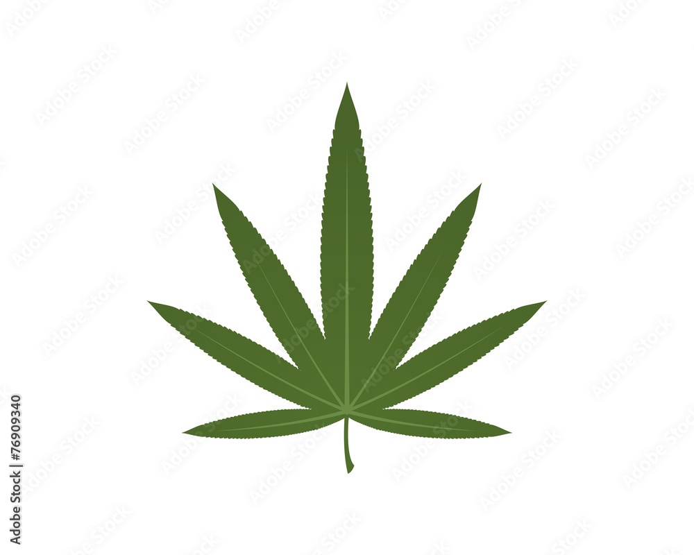 Marijuana Hemp Cannabis Medicine Marijuana Hemp Cannabis Medicine