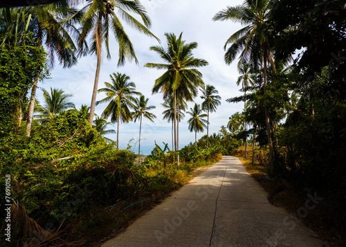 Fototapeta Naklejka Na Ścianę i Meble -  Road in the palm jungle of Thailand