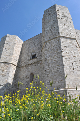 Castel del monte photo