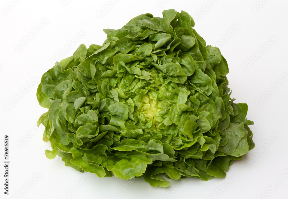 salade batavia salade batavia