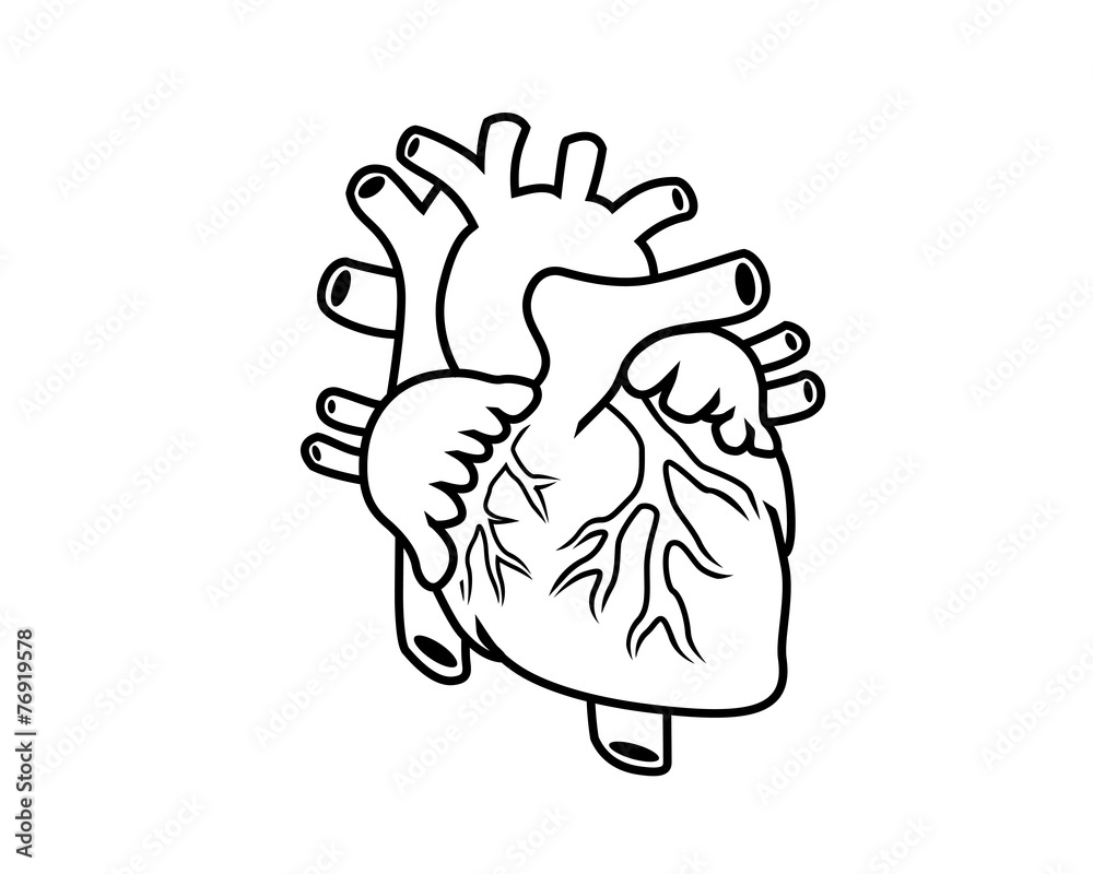human heart human heart