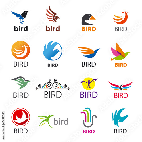 big set of vector logos birds photo