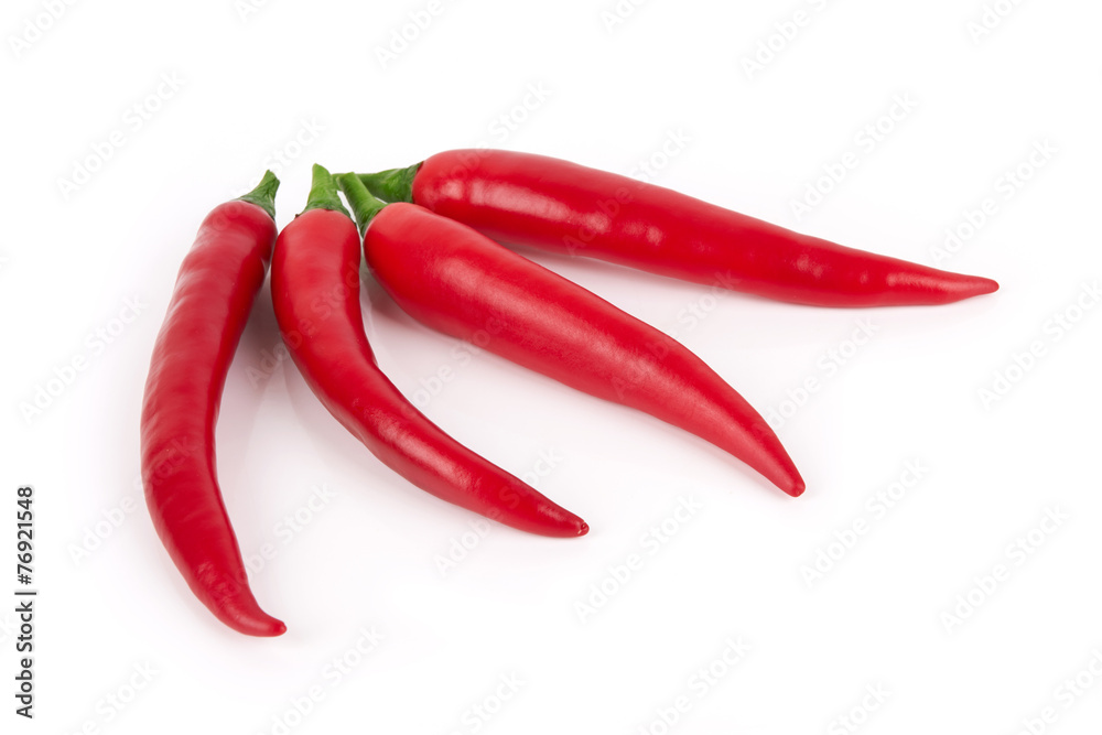 chili pepper chili pepper