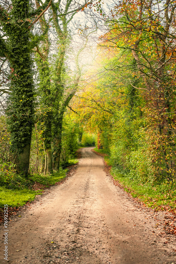 Springtime scenery with a road Springtime scenery with a road